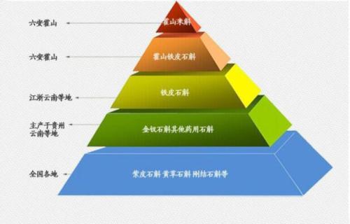 石斛怎样采收加工