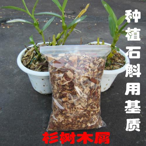 铁皮石斛鲜叶怎么使用