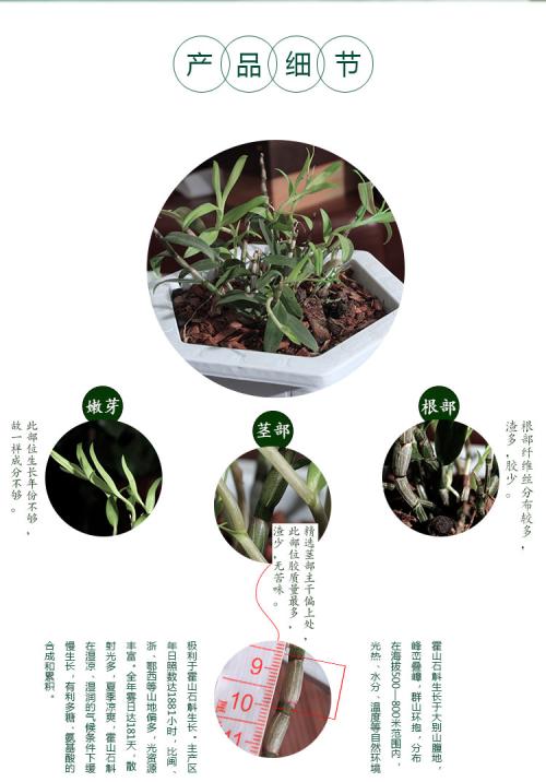 农广天地里有种植石斛的视频吗